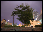 IMG_6373_resize