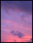IMG_6314_resize
