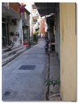 IMG_8788_resize