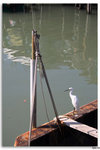 IMG_3141_resize