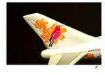 JAL Boeing 747-200 "Super Resort Express"