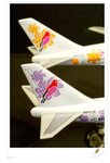 JAL Boeing 747-200 "Super Resort Express"