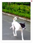 DSCF0974