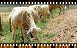 DSC_1486(p)
