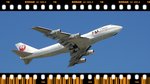 JAL Cargo Freight......