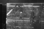 L1002436