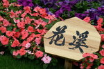 PICT0050