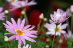 PICT0052