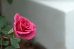 PICT0100