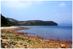 SSL11728