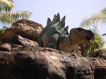 PICT0081