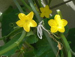 PICT0141