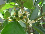 PICT0144