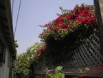 PICT0146