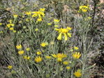 PICT0373