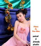DPP_86_copy