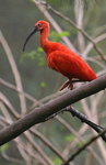 IMG_0573