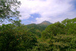 伯公坳遠眺鳳凰山主峰