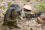 IMG_0122 copy_1