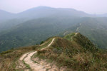 往草山之路