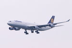 D-AIGY　　　 　　Airbus A340-313　　　　Lufthansa Airline（LH）