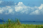 IMG_0147_1