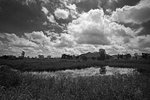IMG_0195_1