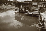 IMG_0205_1