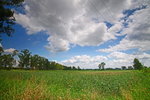 IMG_0211_1