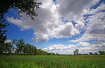 IMG_0215_1
