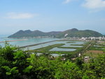 大澳鹽田