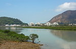 大澳鹽田近觀