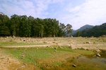 城門水塘昔日的鄉村遺址（一月）