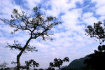 2007年1月15日　金山九龍水塘的藍天白雲