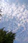 2007年3月3日　屯門青山　高積雲(Altocumulus)