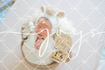 JOY_2136