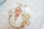 JOY_2137