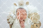 JOY_2139