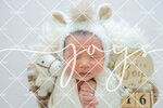 JOY_2140