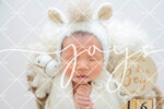 JOY_2173
