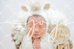 JOY_2174