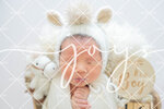 JOY_2175