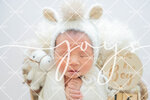 JOY_2176