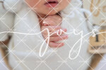 JOY_2177