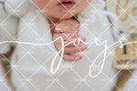JOY_2178