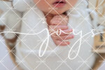 JOY_2180