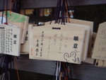 DSC00562
