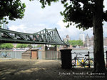 IMG_0907