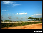 DSC_2010ps