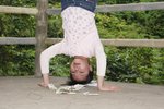 行乞倒樹沖(2)